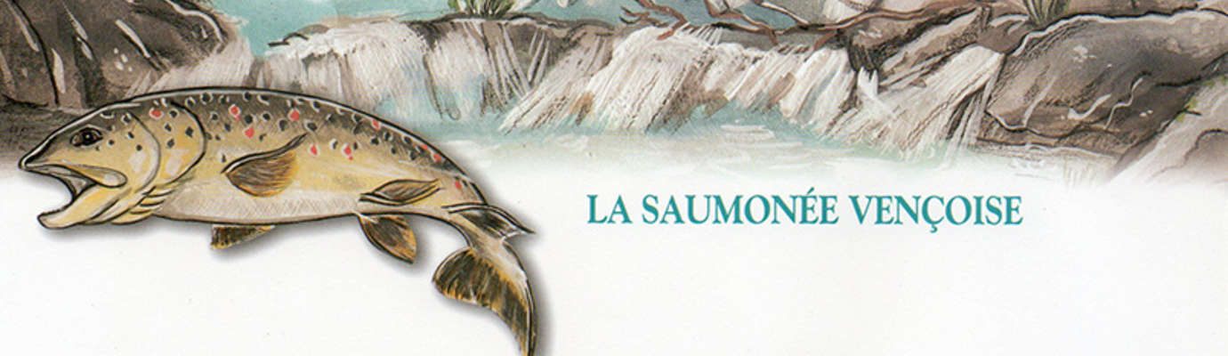 logo de l'aappma la Saumonée Vençoise