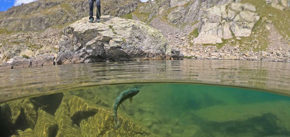 peche lac altitude montagne mercantour alpes maritimes 06