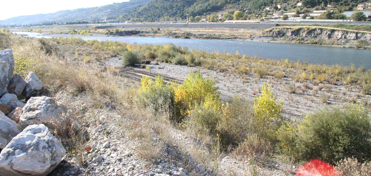 Pêche var rivière fleuve Alpes maritimes 06 federation truite