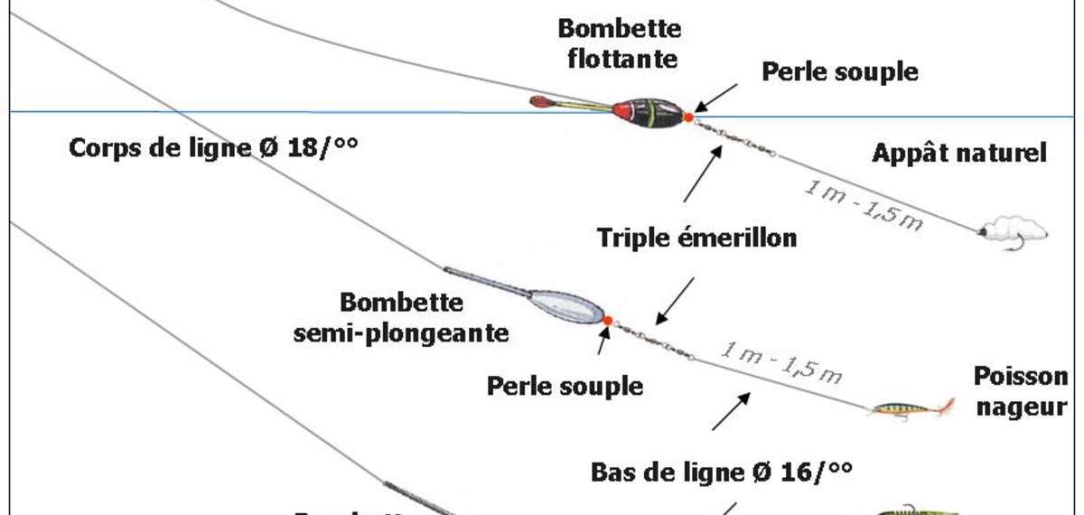 Pêche au toc : quand et comment utiliser la teigne 