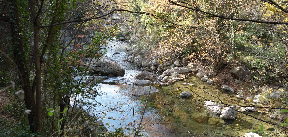 Pêche Loup Alpes maritimes 06 federation truite