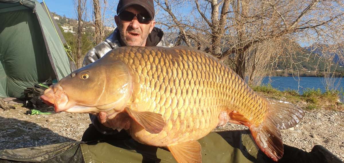 peche AAPPMA la truite argentée nice lac du Broc carnassier 2e categorie piscicole Var Alpes maritimes 06 carpe benevole