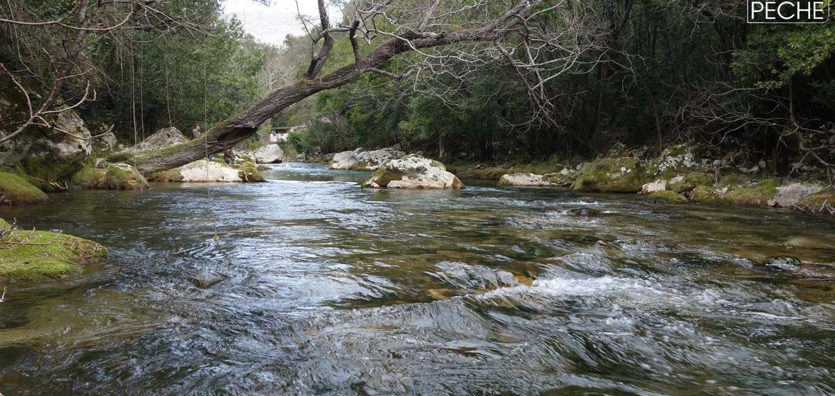 peche siagne alpes maritimes