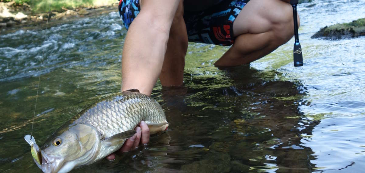 peche siagne alpes maritimes