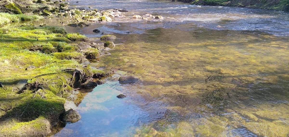 peche siagne alpes maritimes