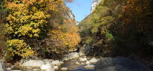 Pêche Loup Alpes maritimes 06 federation truite