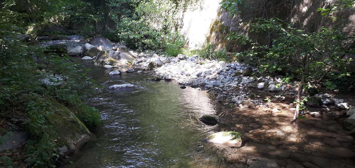 Peche alpes maritimes truite paillon