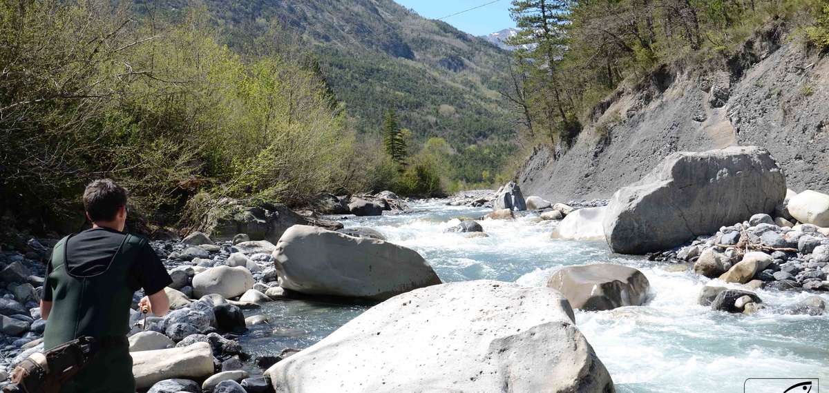 Pêche var rivière fleuve Alpes maritimes 06 federation truite