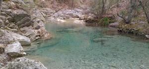 Peche alpes maritimes truite paillon