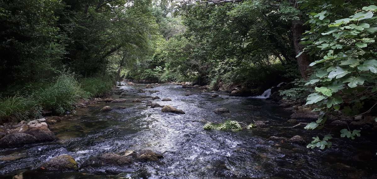 peche siagne alpes maritimes