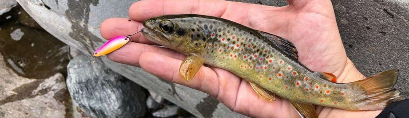 Peche cuiller alpes maritimes technique conseils débutant montages videos