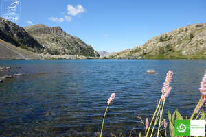 Paysage lac de Vens Intermédiaire, lac de montagne , pèche Alpes-Maritimes