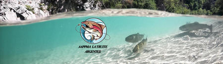 Image subaquatique truite et logo AAPPMA la truite Argentée