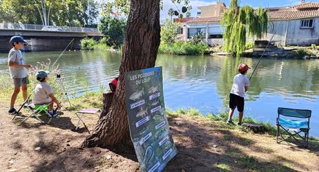 Pêche au "coup" et au "Feeder"  à l'embouchure du Loup à Cagnes sur mer