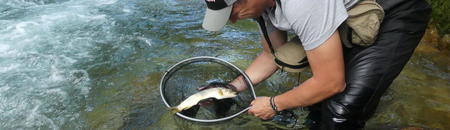 Pêcheur avec poisson dans l'épuisette, truite du Loup