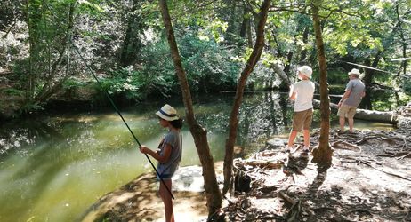 Pêche au "coup" et à "roder" dans le parc départemental de la Brague