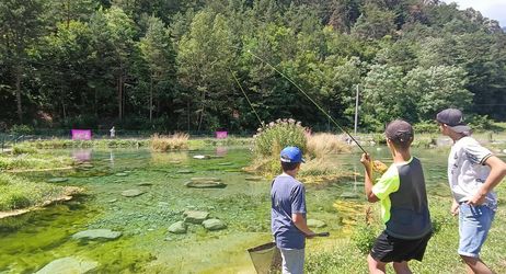 Stage pêche à la mouche Roquebillière