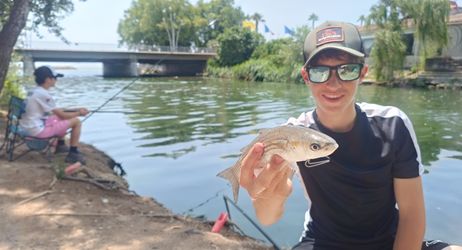 Pêche des poissons d'eau saumâtre à l'embouchure du Loup à Cagnes sur mer