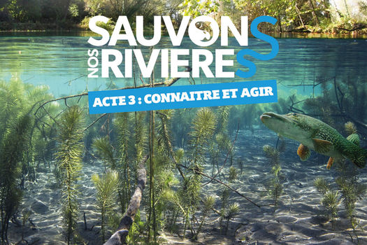 Sauvons nos rivières – Acte 3 – Connaître et agir