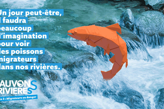 Sauvons nos rivières