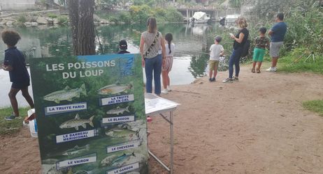 Pêche au "coup" et au "Feeder"  à l'embouchure du Loup à Cagnes sur mer