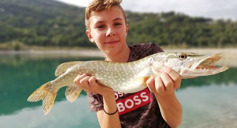 Fermeture de la pêche du brochet