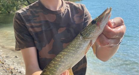 Pêche aux leurres sur le lac du Broc