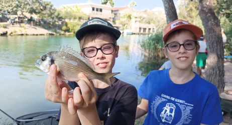 Pêche au "coup" et au "Feeder"  à l'embouchure du Loup à Cagnes sur mer