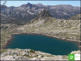 Lac bresse inférieur peche alpes maritimes mercantour