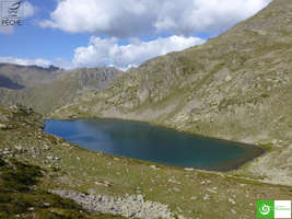 Paysage lac des Babarottes, lac de montagne , pèche Alpes-Maritimes, Mercantour