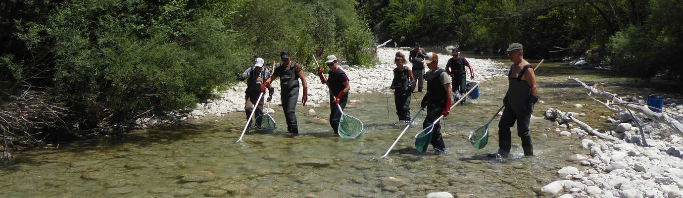 peche électrique alpes maritimes fédération peche