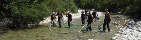 peche électrique alpes maritimes fédération peche