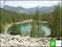 Lac altitude peche 06 alpes maritimes mercantour truite 