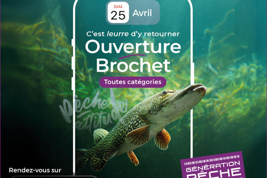 Ouverture Carnassiers