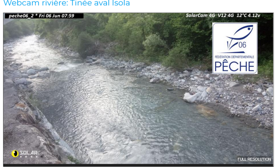 Un oeil sur la rivière