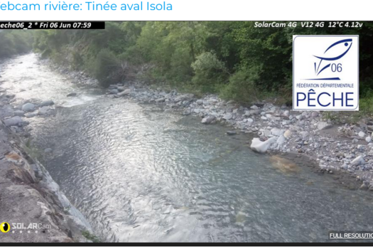 Un oeil sur la rivière