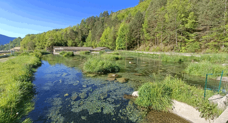 Pêche à la truite