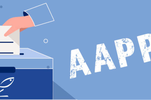 Elections des structures associatives de pêche de loisir - Etape 1 : les AAPPMA