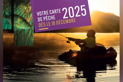  Cartes 2025